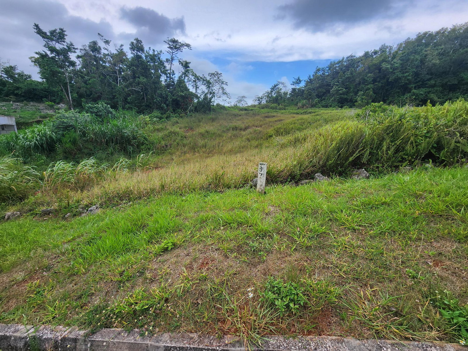 Twelfth image of 97 Ravenswood Avenue in Mandeville, Manchester, Jamaica - property is For Sale