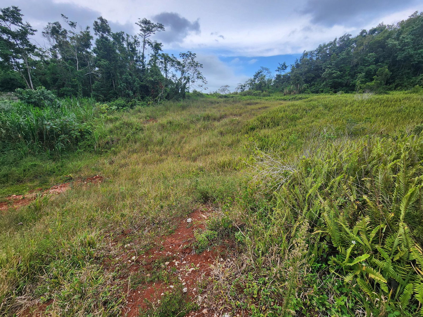 Fourteenth image of 97 Ravenswood Avenue in Mandeville, Manchester, Jamaica - property is For Sale