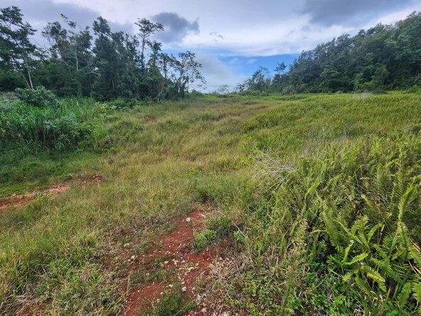 Fourteenth image of 97 Ravenswood Avenue in Mandeville, Manchester, Jamaica - property is For Sale
