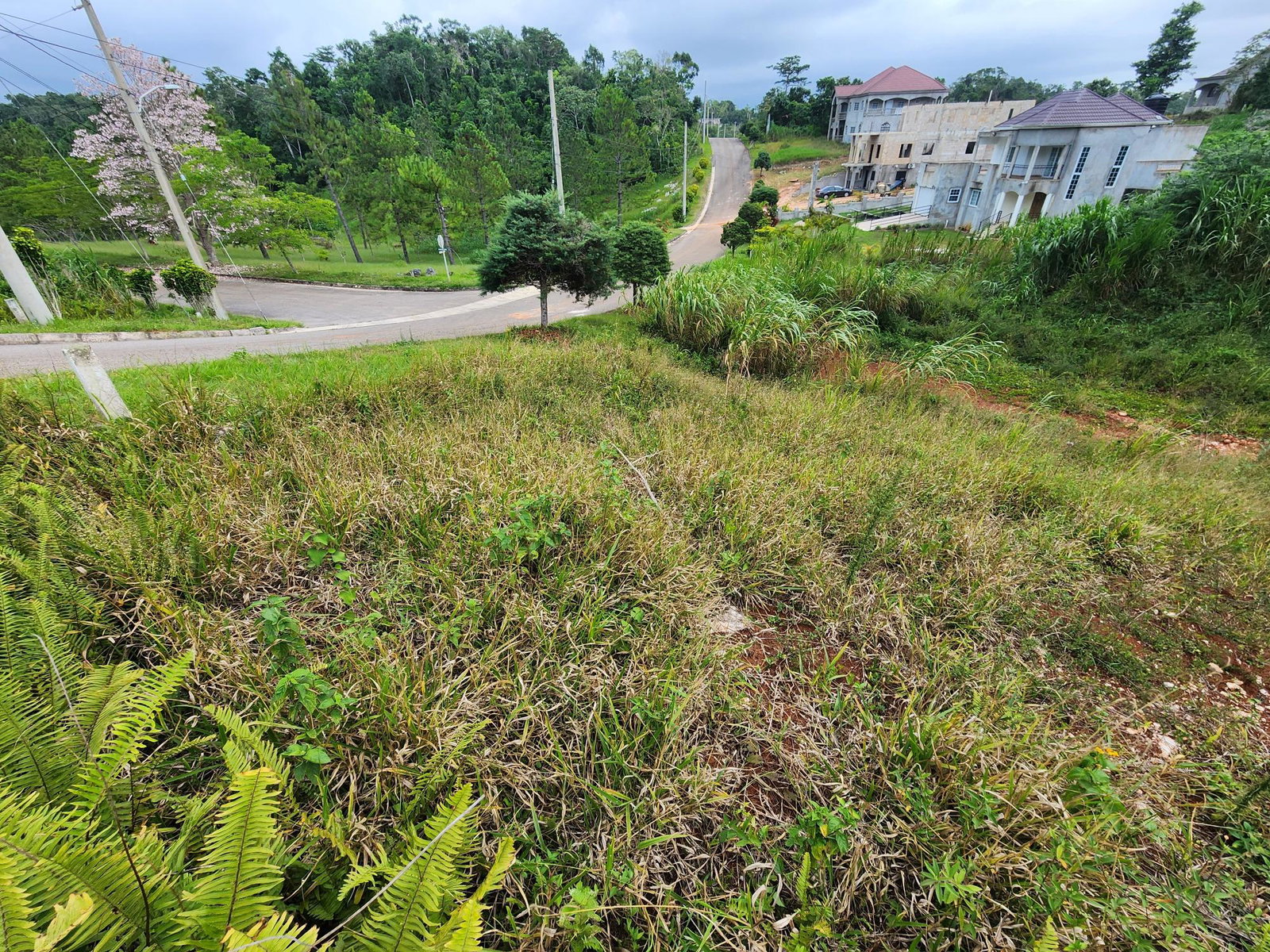 Fifteenth image of 97 Ravenswood Avenue in Mandeville, Manchester, Jamaica - property is For Sale