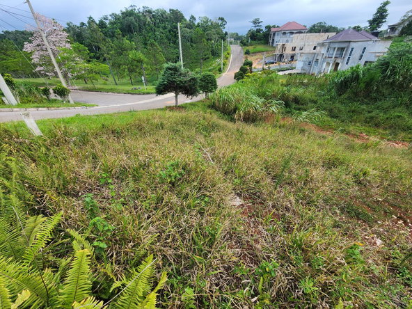 Fifteenth image of 97 Ravenswood Avenue in Mandeville, Manchester, Jamaica - property is For Sale