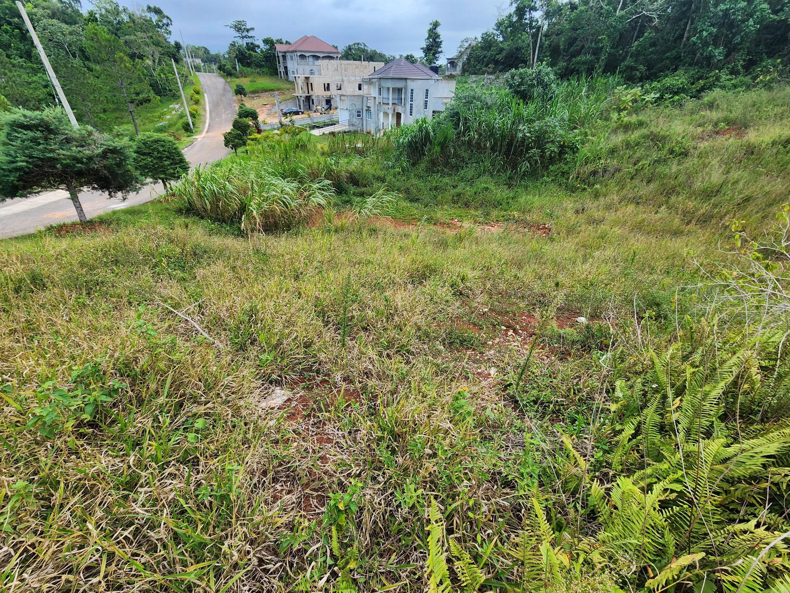 Sixteenth image of 97 Ravenswood Avenue in Mandeville, Manchester, Jamaica - property is For Sale