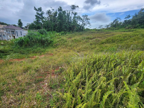 Seventeenth image of 97 Ravenswood Avenue in Mandeville, Manchester, Jamaica - property is For Sale