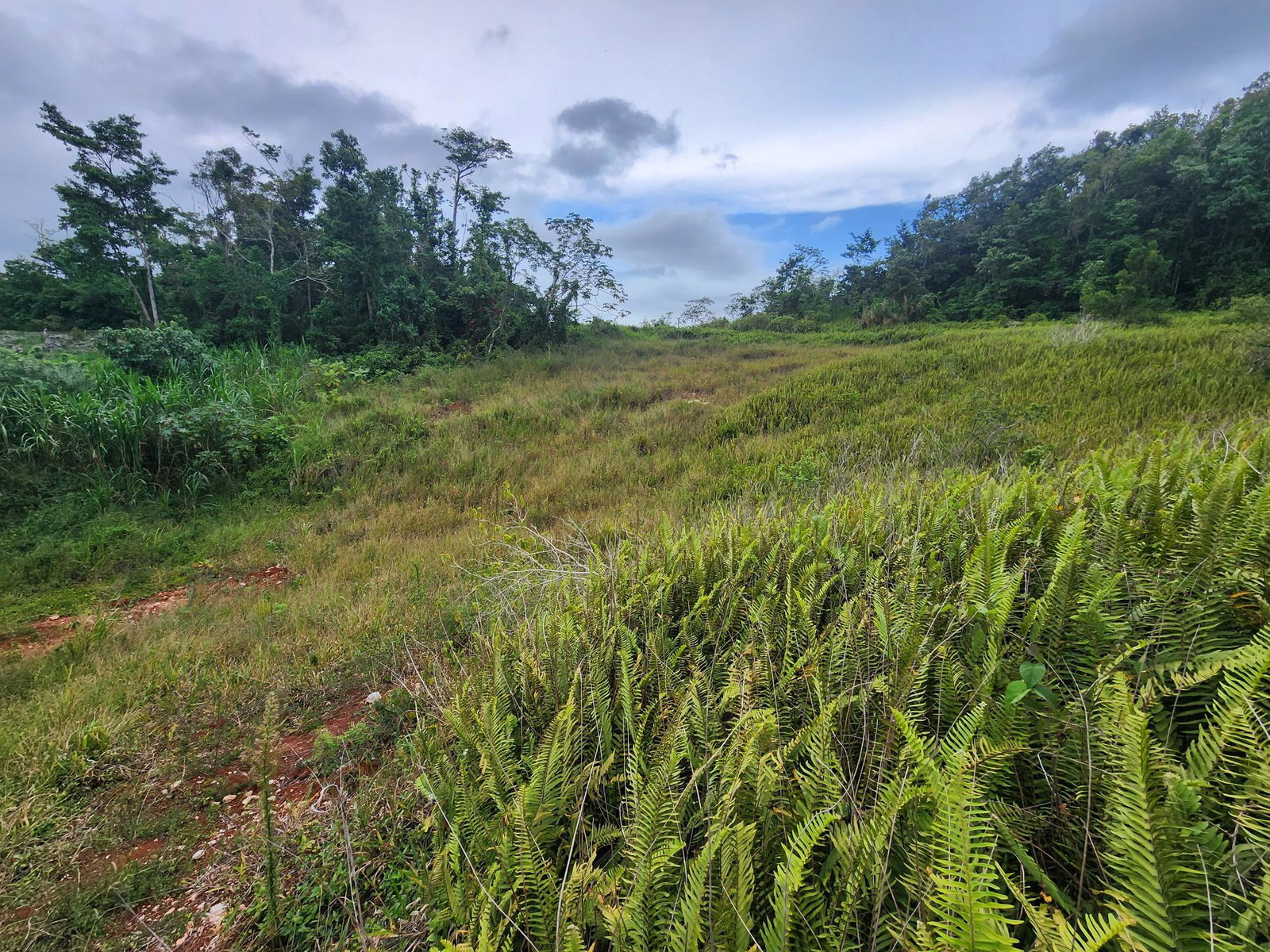 Eighteenth image of 97 Ravenswood Avenue in Mandeville, Manchester, Jamaica - property is For Sale