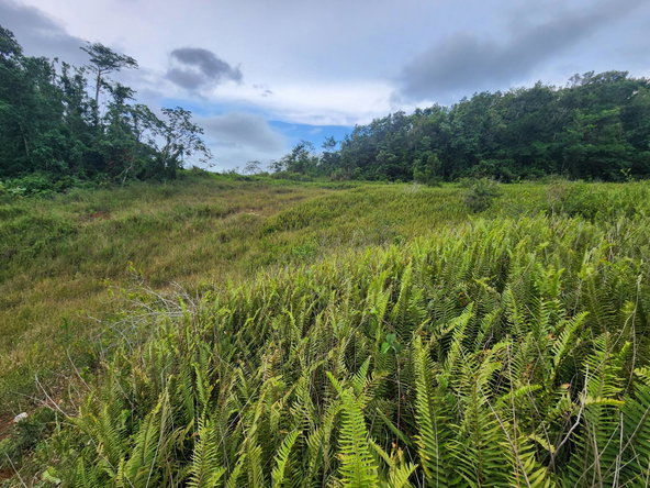 Nineteenth image of 97 Ravenswood Avenue in Mandeville, Manchester, Jamaica - property is For Sale
