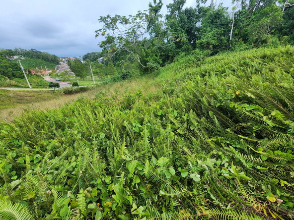 Twentieth image of 97 Ravenswood Avenue in Mandeville, Manchester, Jamaica - property is For Sale