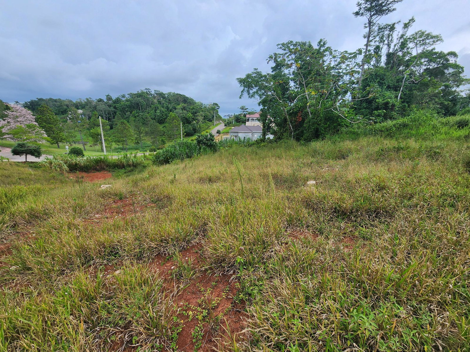 Twenty-First image of 97 Ravenswood Avenue in Mandeville, Manchester, Jamaica - property is For Sale