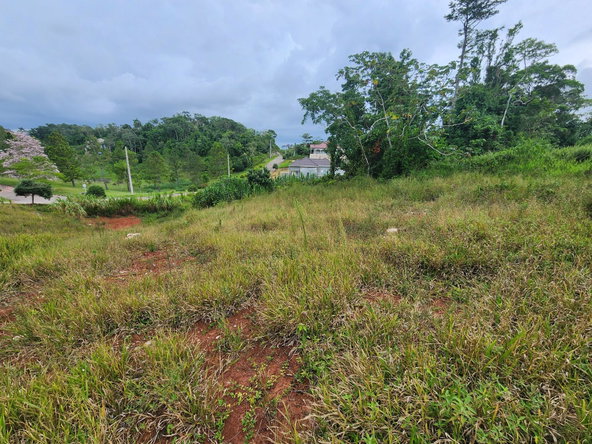 Twenty-First image of 97 Ravenswood Avenue in Mandeville, Manchester, Jamaica - property is For Sale