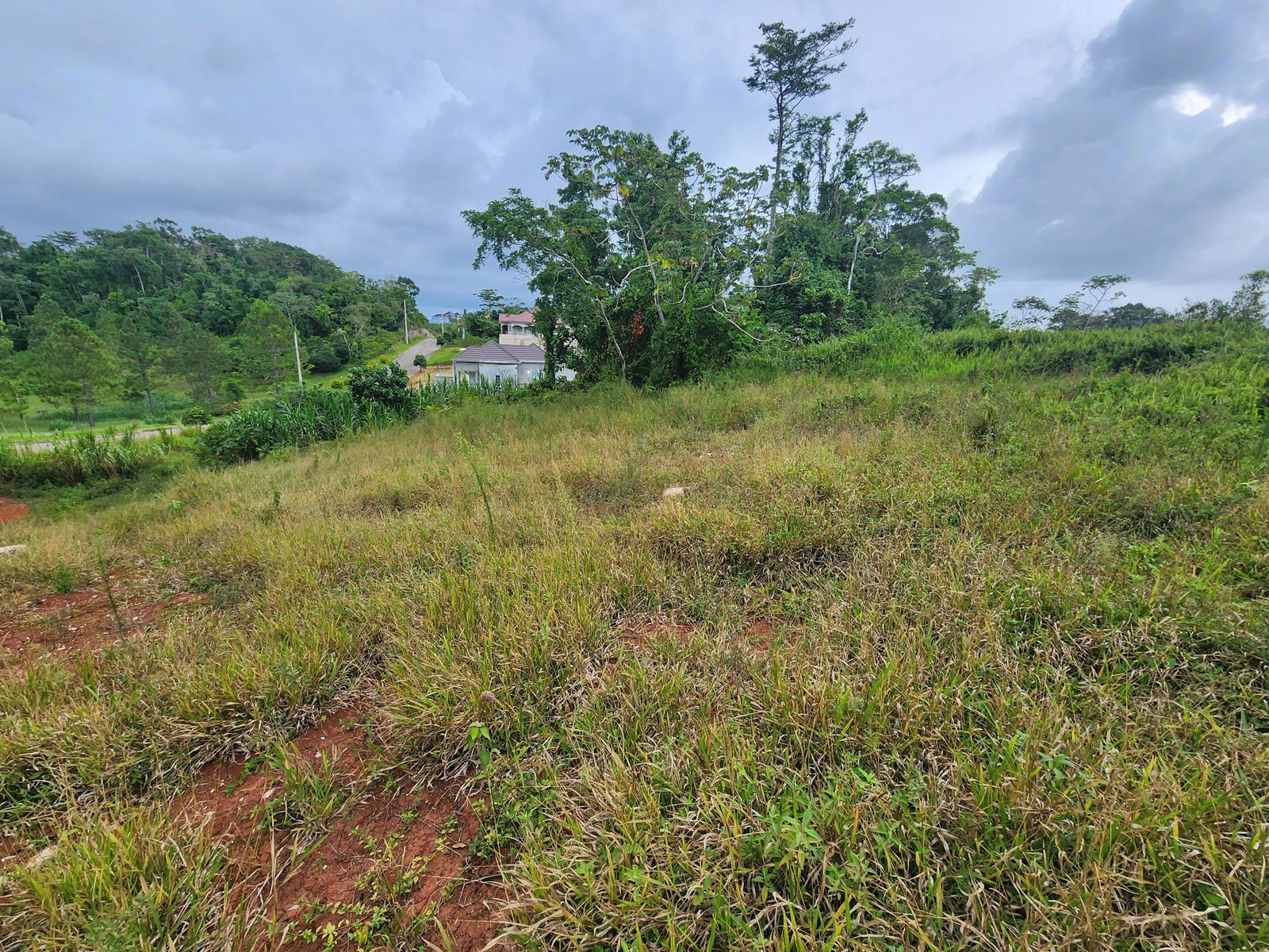 Twenty-Second image of 97 Ravenswood Avenue in Mandeville, Manchester, Jamaica - property is For Sale