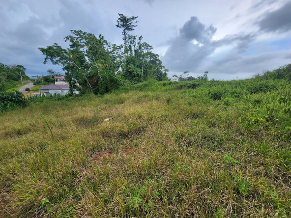 Twenty-Third image of 97 Ravenswood Avenue in Mandeville, Manchester, Jamaica - property is For Sale