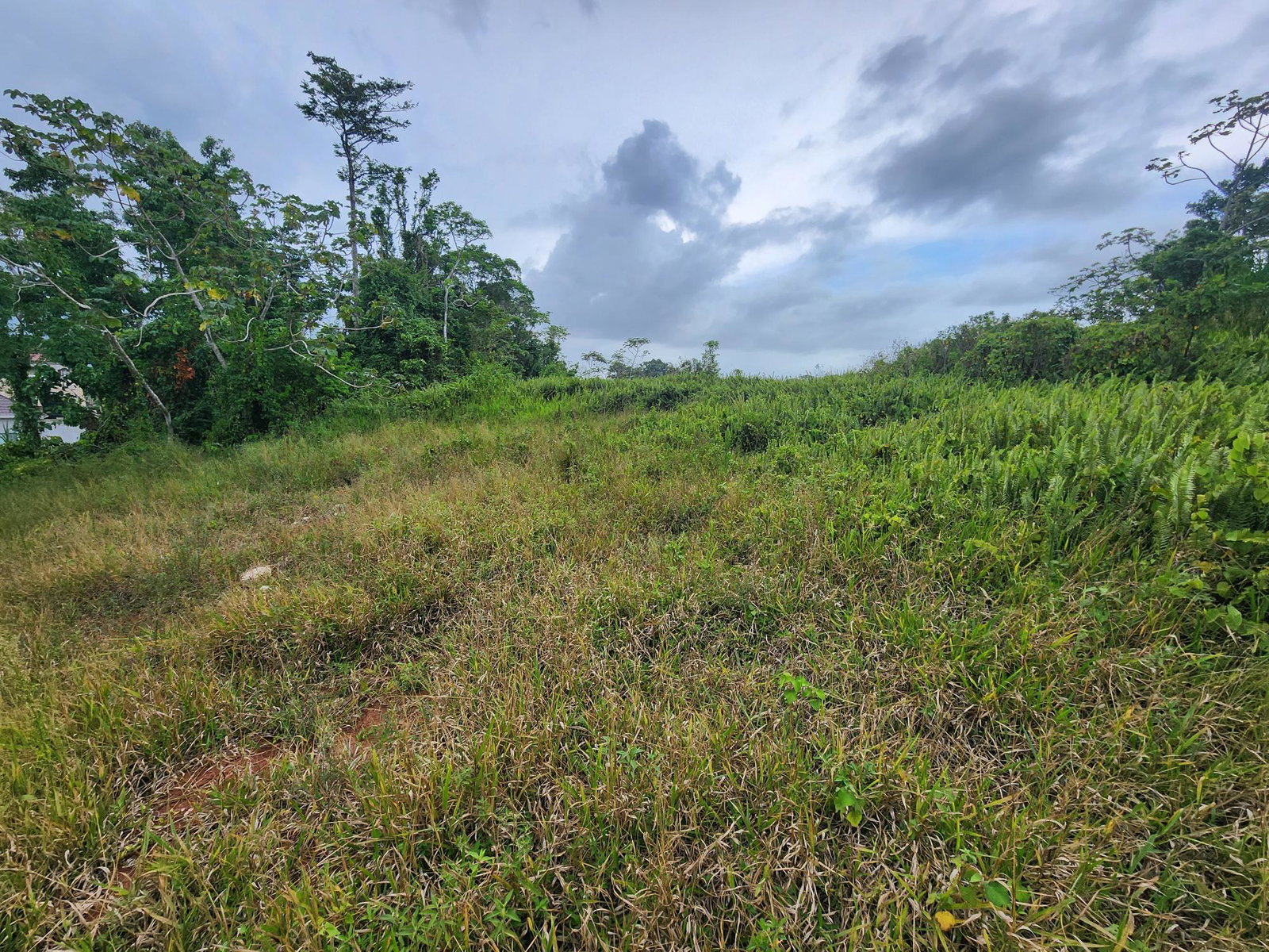 Twenty-Fourth image of 97 Ravenswood Avenue in Mandeville, Manchester, Jamaica - property is For Sale