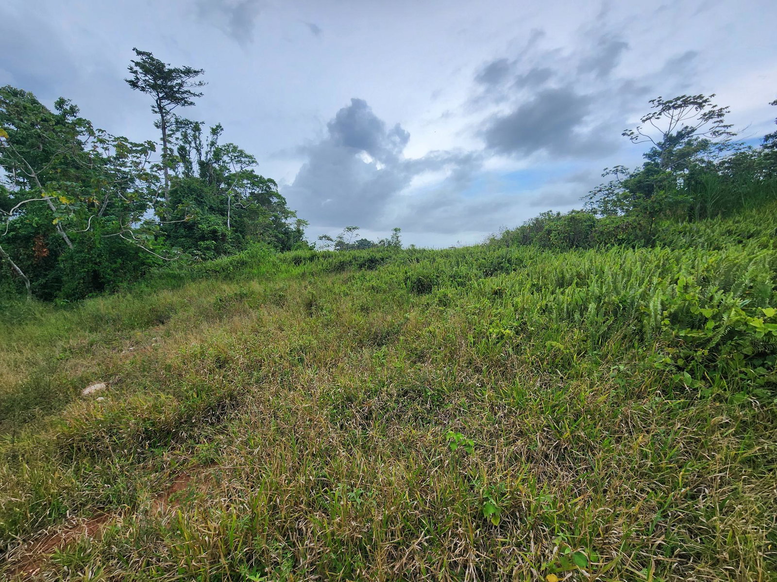 Twenty-Fifth image of 97 Ravenswood Avenue in Mandeville, Manchester, Jamaica - property is For Sale