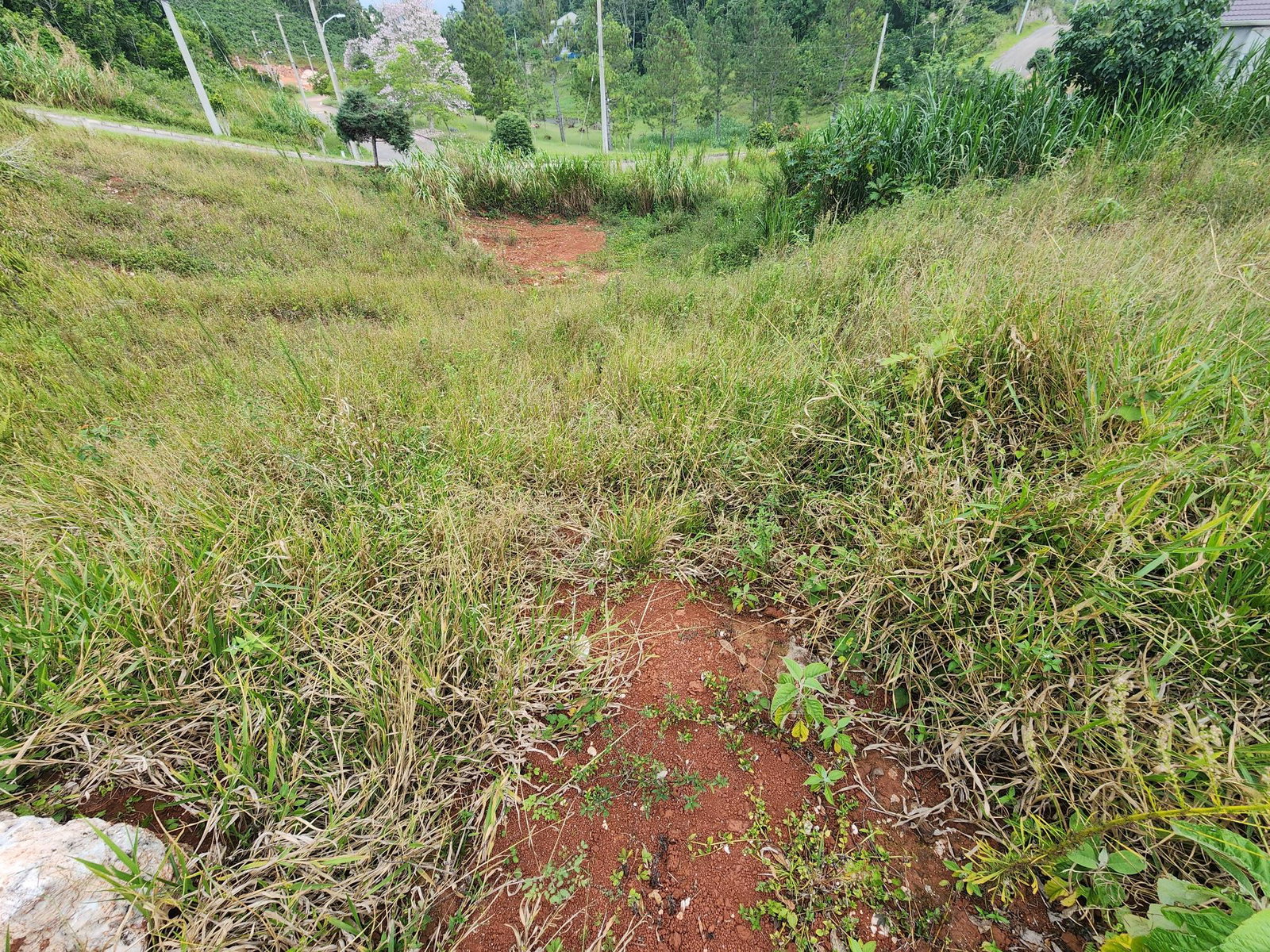 Twenty-Sixth image of 97 Ravenswood Avenue in Mandeville, Manchester, Jamaica - property is For Sale