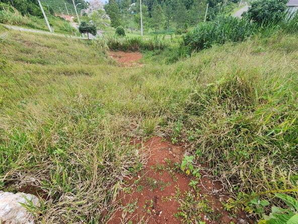 Twenty-Sixth image of 97 Ravenswood Avenue in Mandeville, Manchester, Jamaica - property is For Sale