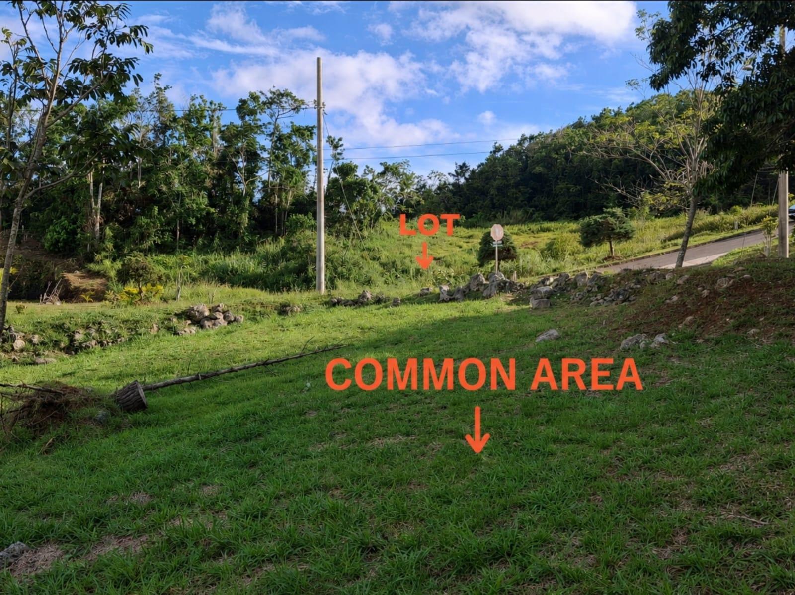 Fourth image of 97 Ravenswood Avenue in Mandeville, Manchester, Jamaica - property is For Sale