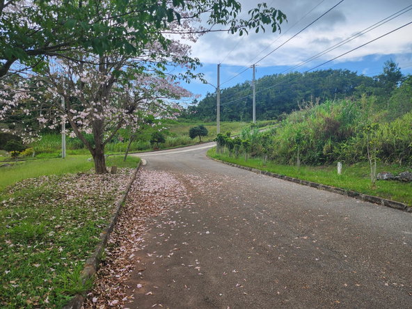 Fifth image of 97 Ravenswood Avenue in Mandeville, Manchester, Jamaica - property is For Sale