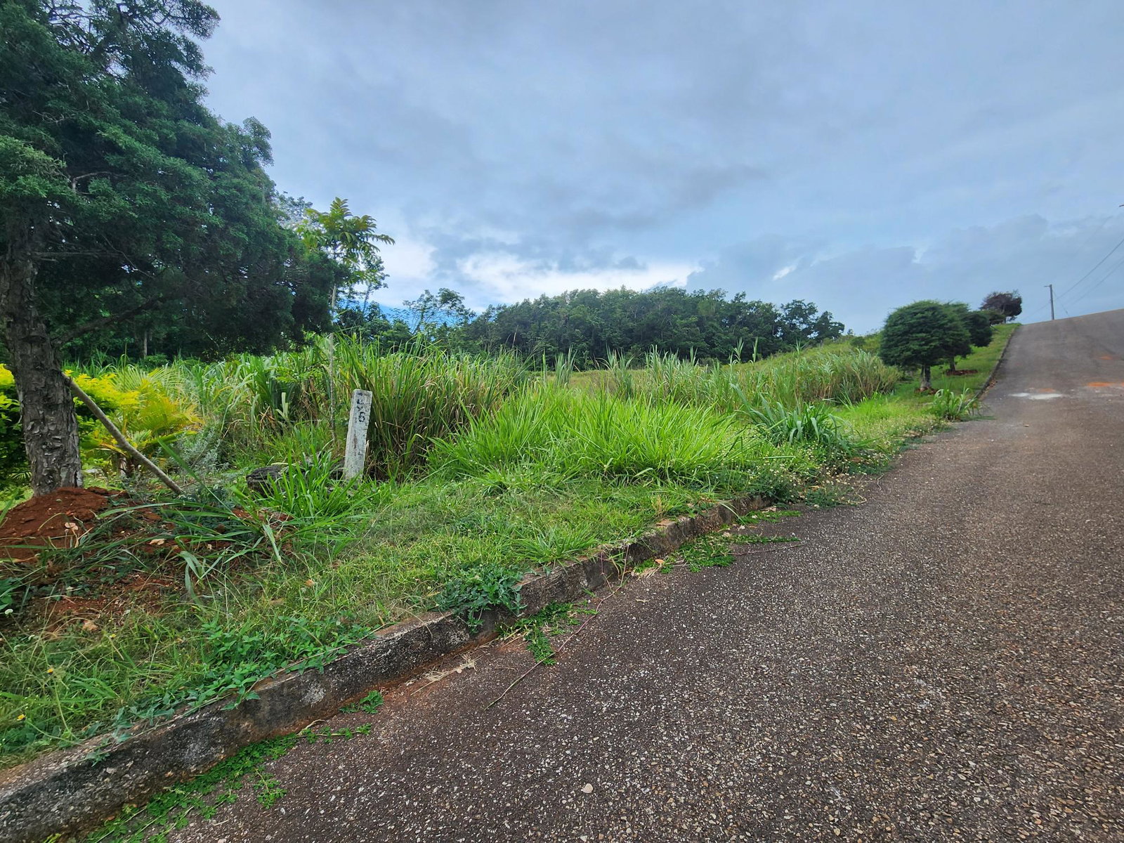Seventh image of 97 Ravenswood Avenue in Mandeville, Manchester, Jamaica - property is For Sale