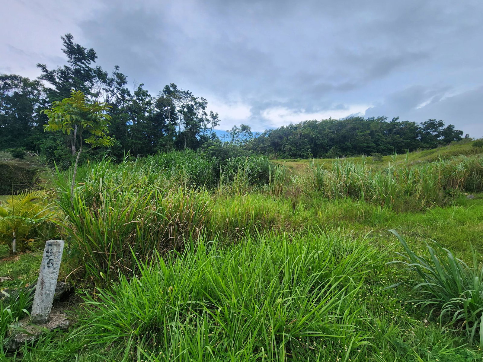 Eighth image of 97 Ravenswood Avenue in Mandeville, Manchester, Jamaica - property is For Sale