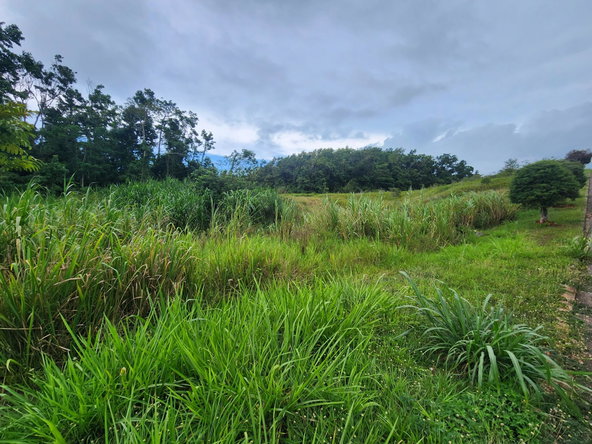 Ninth image of 97 Ravenswood Avenue in Mandeville, Manchester, Jamaica - property is For Sale