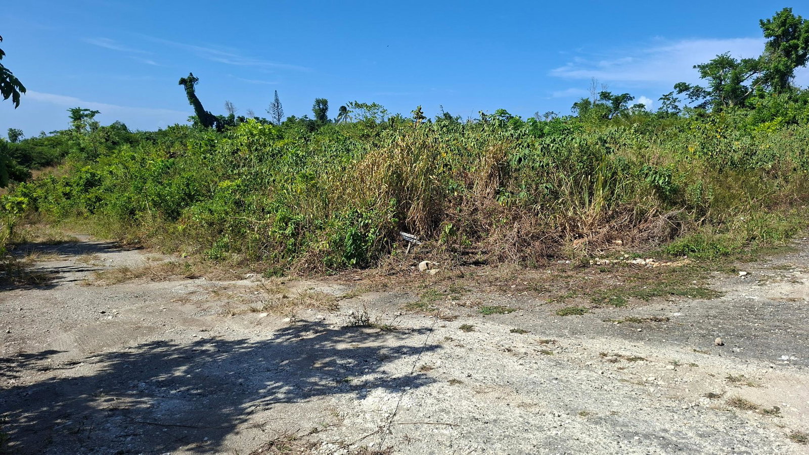 Third image of 95- Cardiff Hall in Runaway Bay, St. Ann, Jamaica - property is For Sale
