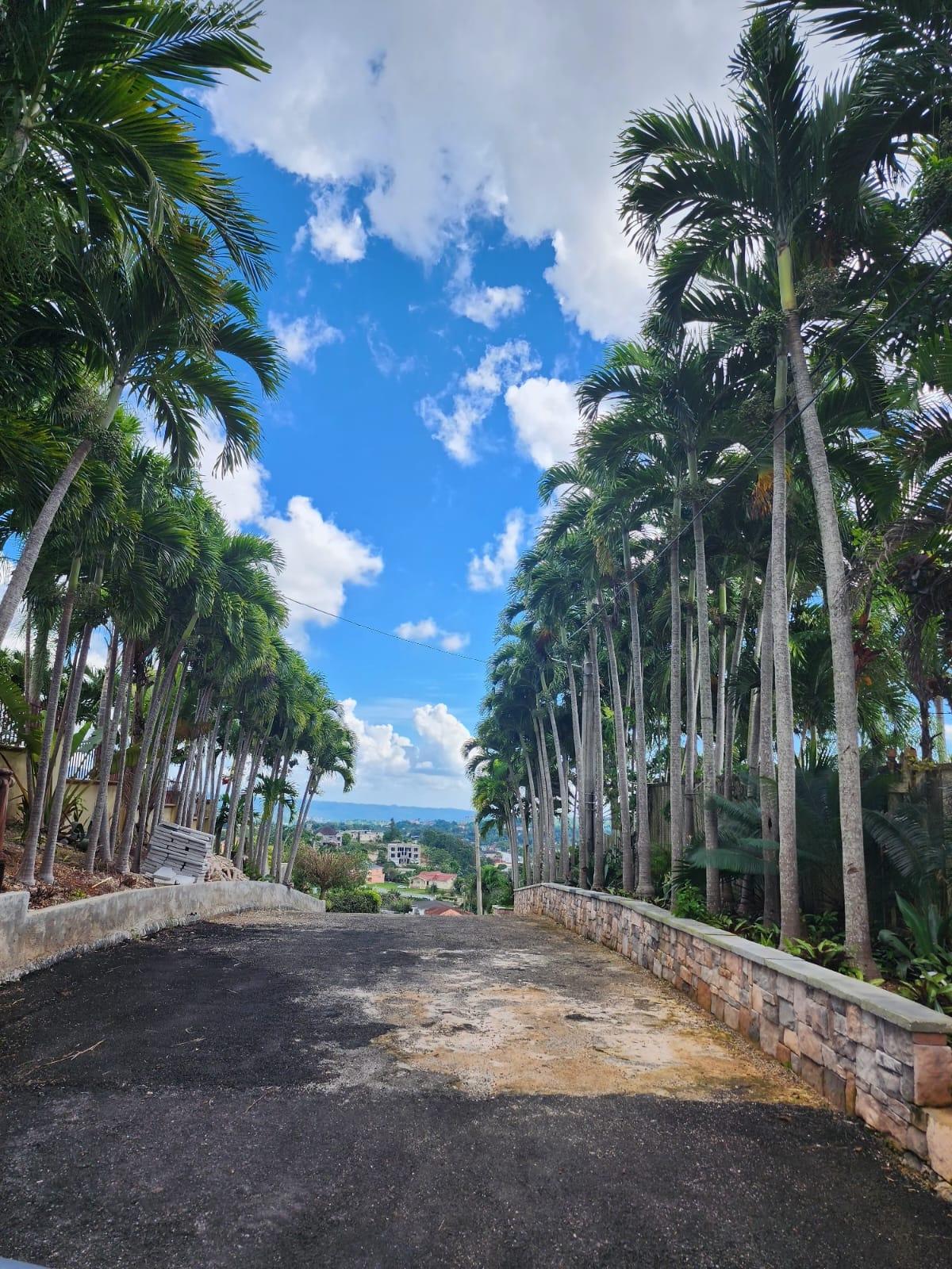 Twenty-Seventh image of 4-19 Gordon Heights in Mandeville, Manchester, Jamaica - property is For Sale
