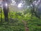 First image of Royal Flat Manchester in Royal Flat, Manchester, Jamaica - property is For Sale