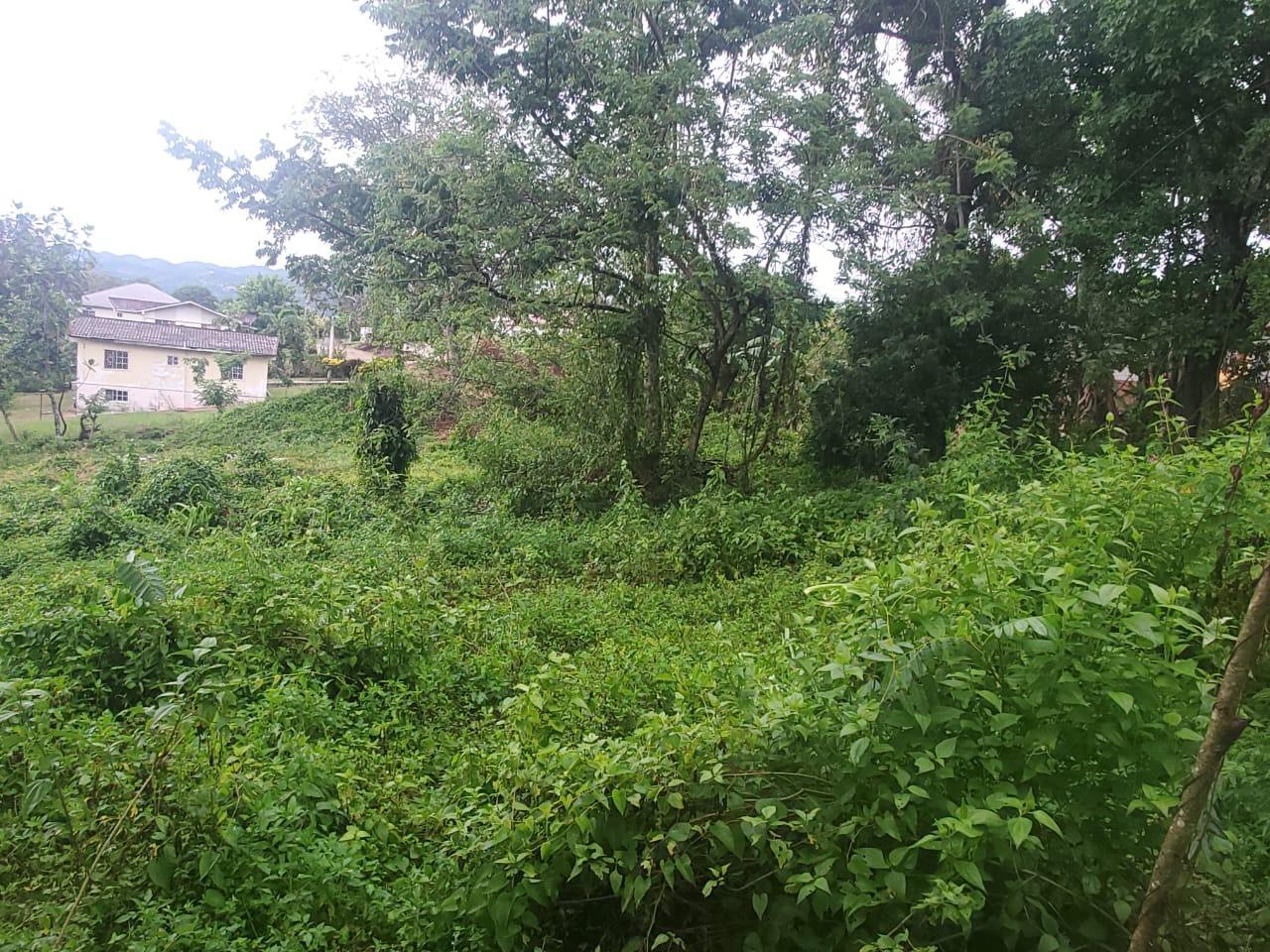 Second image of Royal Flat Manchester in Royal Flat, Manchester, Jamaica - property is For Sale