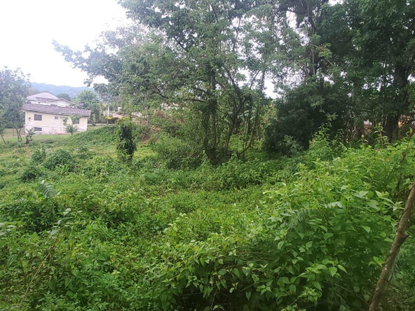 Second image of Royal Flat Manchester in Royal Flat, Manchester, Jamaica - property is For Sale