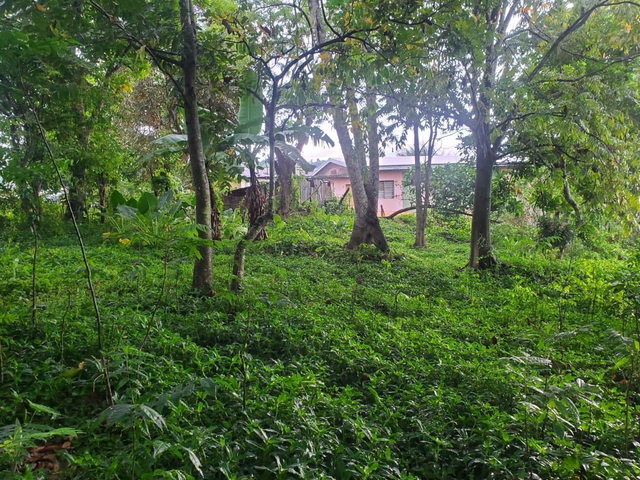 Third image of Royal Flat Manchester in Royal Flat, Manchester, Jamaica - property is For Sale