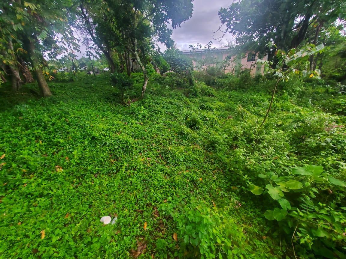 Fifth image of Royal Flat Manchester in Royal Flat, Manchester, Jamaica - property is For Sale