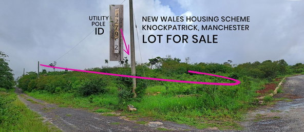 Second image of 362 New Wales, Knockpatrick m in Knockpatirck, Manchester, Jamaica - property is For Sale