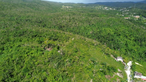Second image of Glendale Heights, Sign in Montego Bay, St. James, Jamaica - property is For Sale