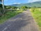 First image of Part of Bogue, Saint Elizabeth in Elim, St. Elizabeth, Jamaica - property is For Sale