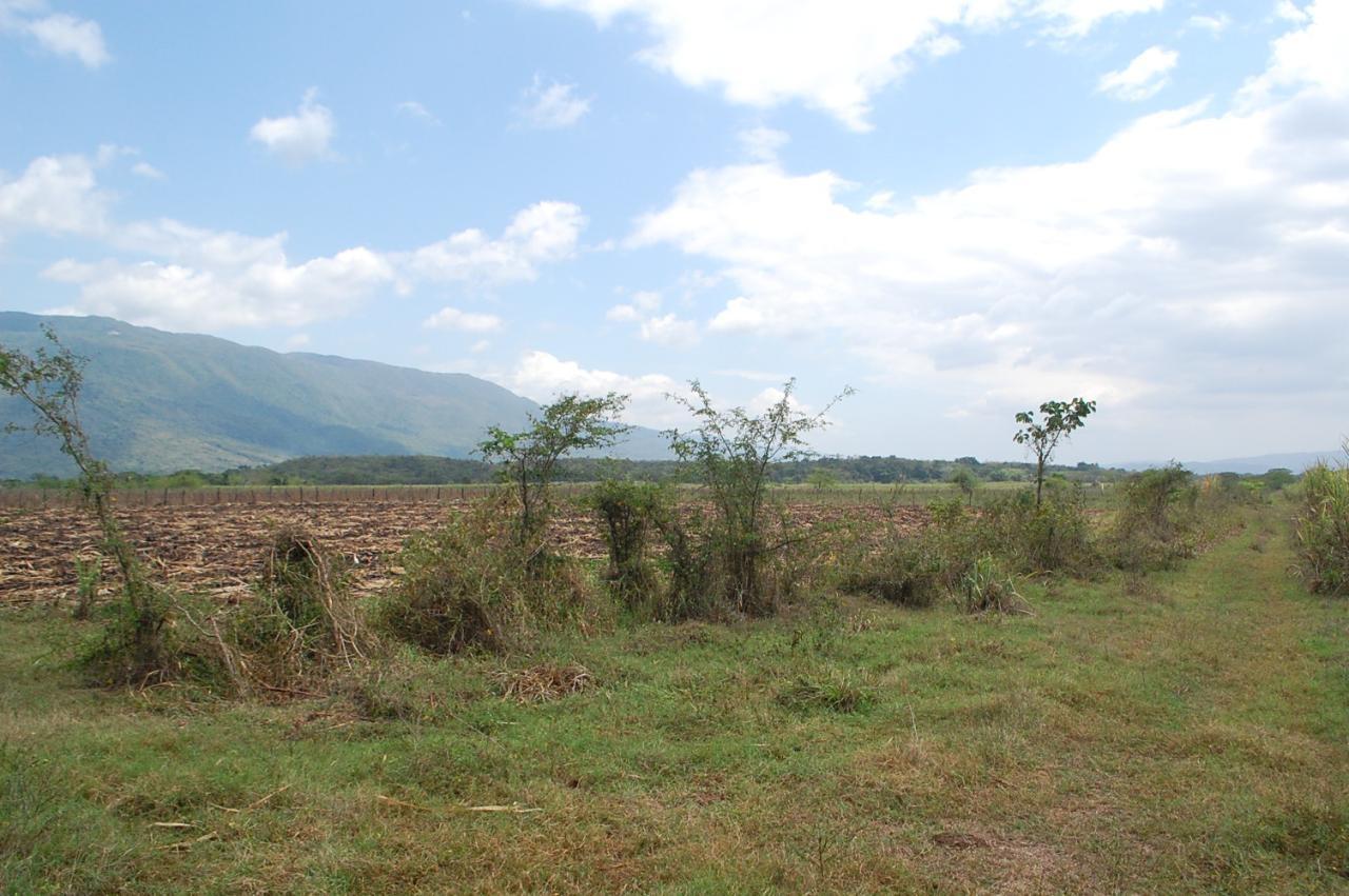 Second image of Part of Bogue, Saint Elizabeth in Elim, St. Elizabeth, Jamaica - property is For Sale