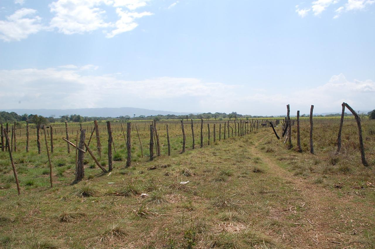 Third image of Part of Bogue, Saint Elizabeth in Elim, St. Elizabeth, Jamaica - property is For Sale
