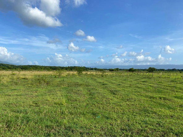 Fourth image of Part of Bogue, Saint Elizabeth in Elim, St. Elizabeth, Jamaica - property is For Sale