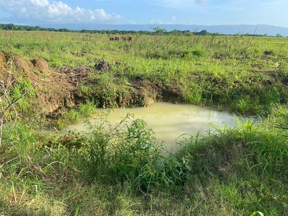 Fifth image of Part of Bogue, Saint Elizabeth in Elim, St. Elizabeth, Jamaica - property is For Sale