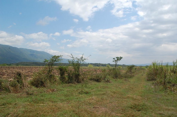 Seventh image of Part of Bogue, Saint Elizabeth in Elim, St. Elizabeth, Jamaica - property is For Sale