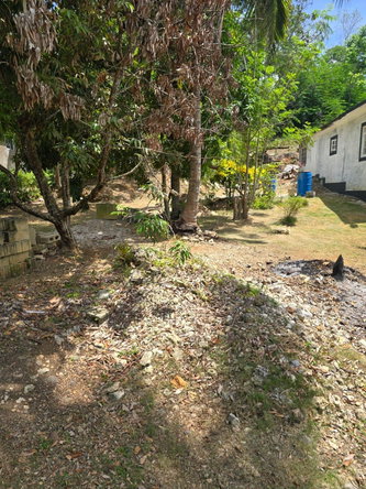 Fifth image of Orangefield District in Linstead, St. Catherine, Jamaica - property is For Sale