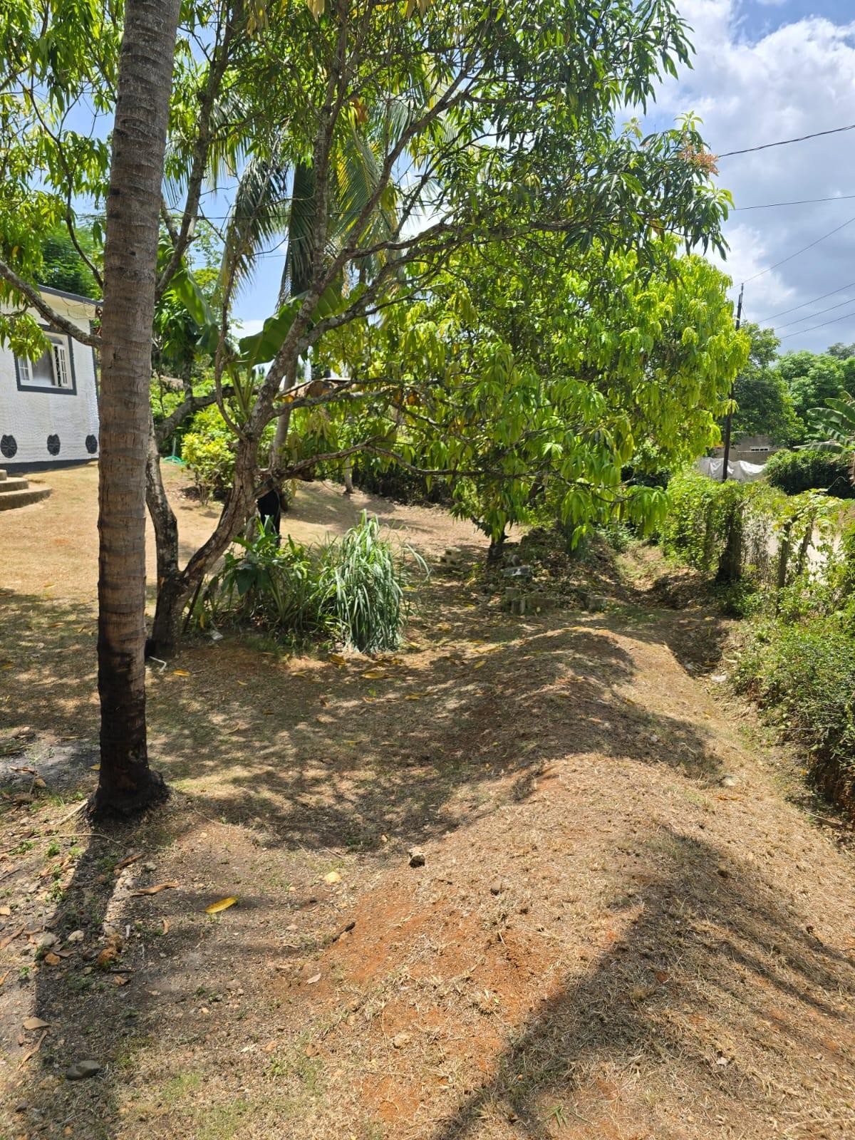 Sixth image of Orangefield District in Linstead, St. Catherine, Jamaica - property is For Sale