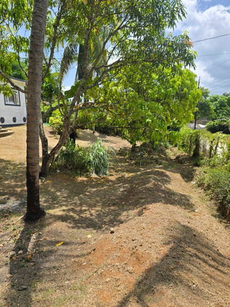 Sixth image of Orangefield District in Linstead, St. Catherine, Jamaica - property is For Sale