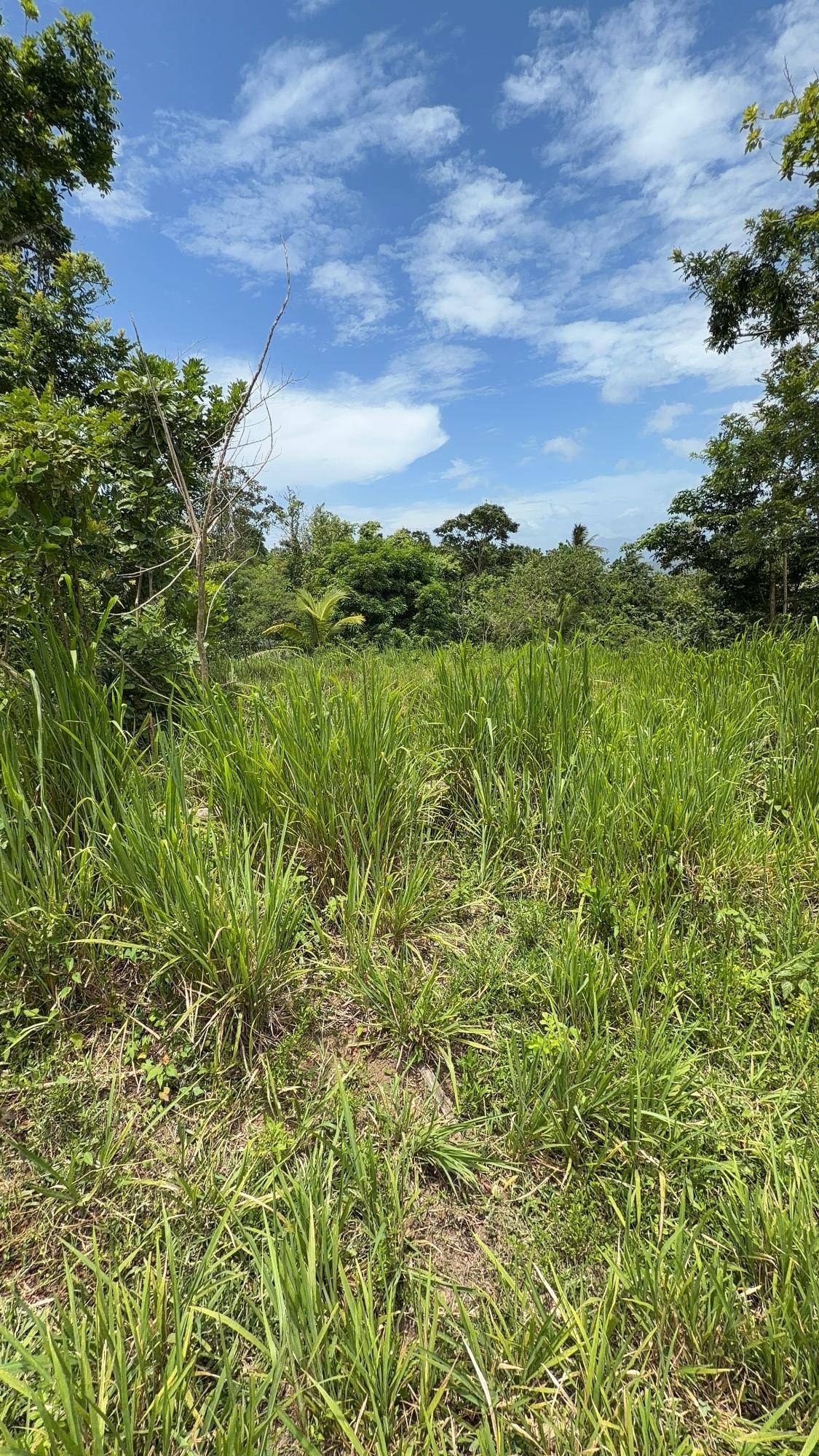 Fourth image of 12 Rosend in Albany, St. Mary, Jamaica - property is For Sale