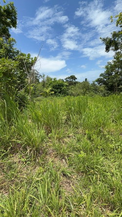 Fourth image of 12 Rosend in Albany, St. Mary, Jamaica - property is For Sale