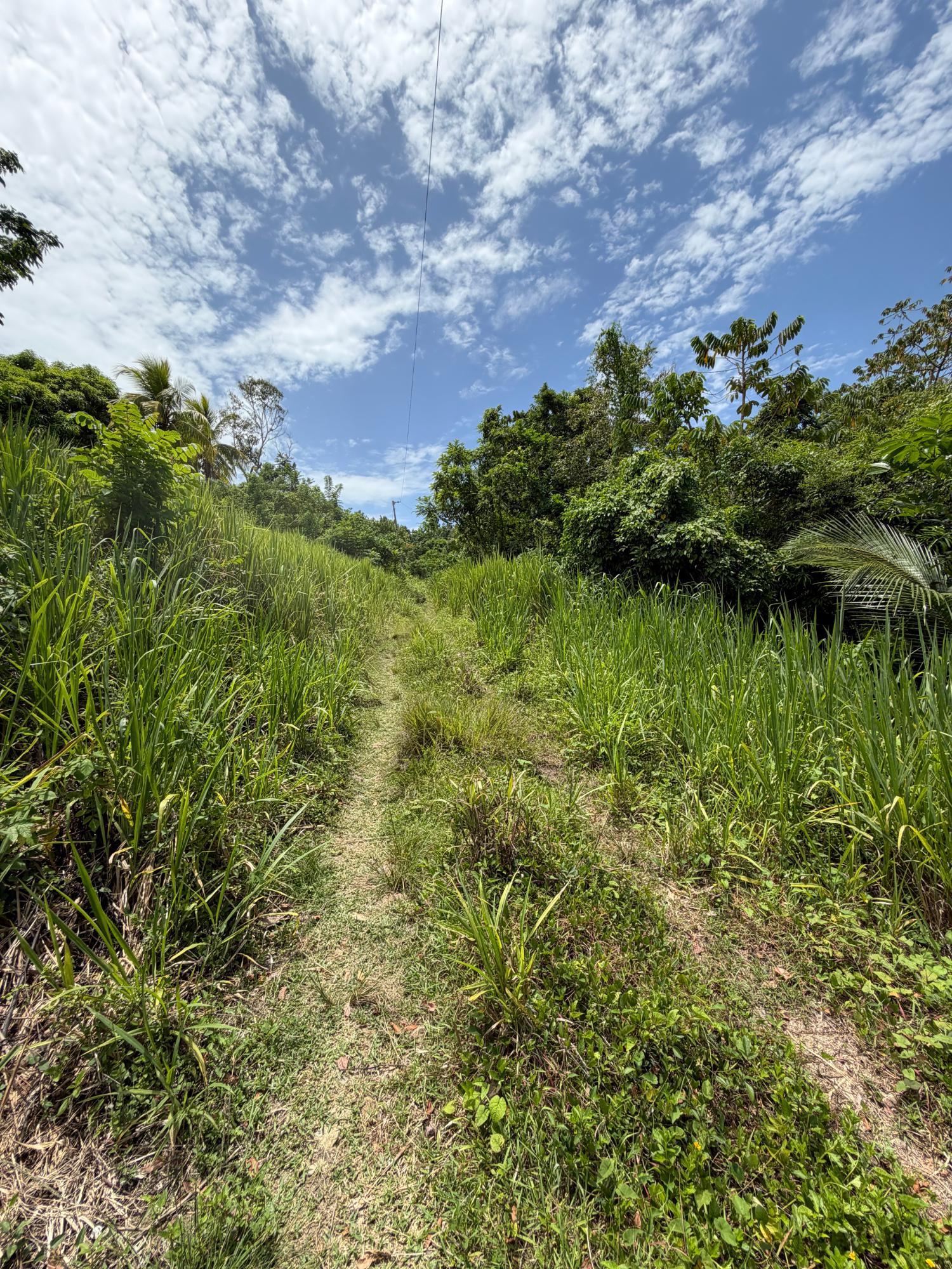 Seventh image of 12 Rosend in Albany, St. Mary, Jamaica - property is For Sale