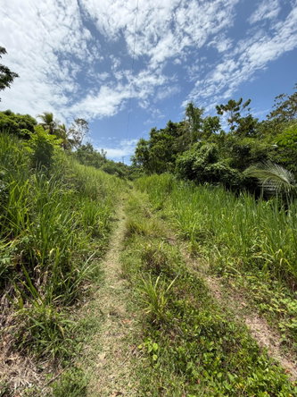 Seventh image of 12 Rosend in Albany, St. Mary, Jamaica - property is For Sale