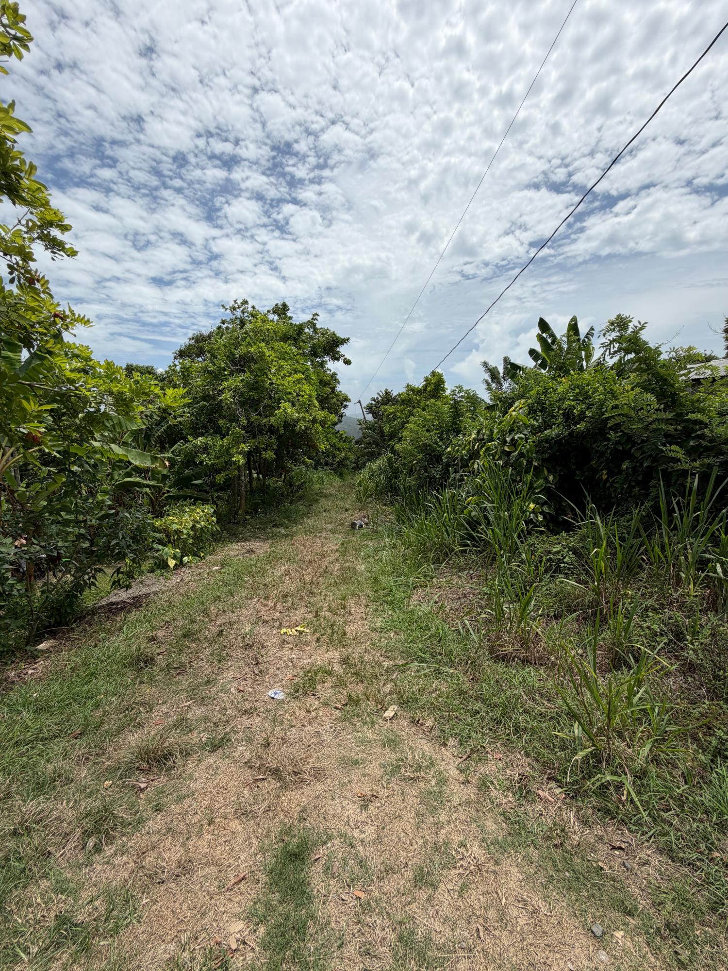 Eighth image of 12 Rosend in Albany, St. Mary, Jamaica - property is For Sale