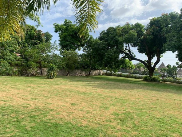 Eleventh image of 6 Hyperion Avenue in Kingston 6, St. Andrew, Jamaica - property is For Rent