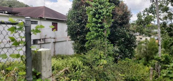 First image of 3 Bamboo Avenue. Santa Mar in SANTA MARIA, St. Catherine, Jamaica - property is For Sale