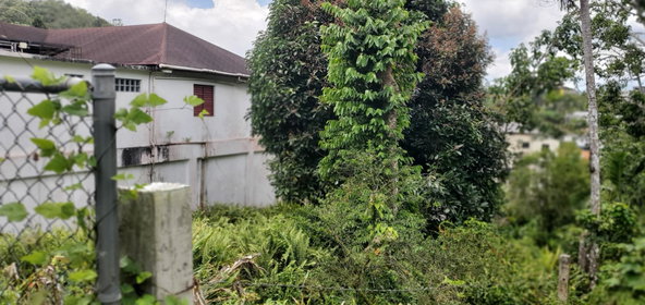 First image of 3 Bamboo Avenue. Santa Mar in SANTA MARIA, St. Catherine, Jamaica - property is For Sale