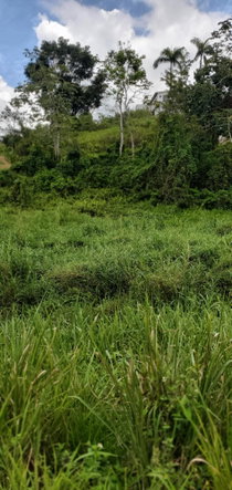 Tenth image of 3 Bamboo Avenue. Santa Mar in SANTA MARIA, St. Catherine, Jamaica - property is For Sale